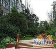 香槟花园 5室3厅 东南 南 西南