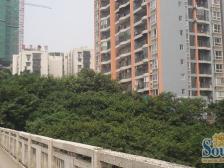 户型方正 采光好 楼层好业主诚心出售