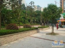 皓月港湾 2室1厅 东南