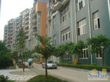 鱼洞 皓月港湾二房37万