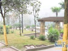 高层小户型,电梯房,住家装修,正规2房。朝中庭