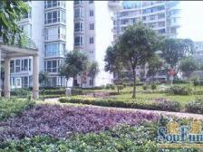 鱼洞 帝豪巴南印象二房33万