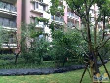 龙湖物业,小高层,品质楼盘,采光好,住家安静