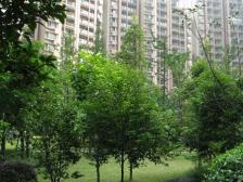 冉家坝 龙湖紫都城三房180万