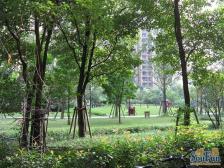 冉家坝 龙湖紫都城 精装四房 业主诚心出租