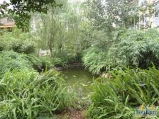 加州新牌坊 荣锦龙汇苑三房142万