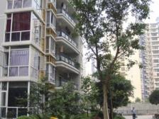 荣锦龙汇苑 4室2厅 东