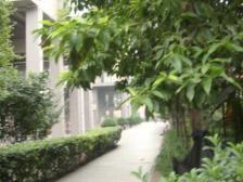 人和 人和天地(渝北人和)一房
