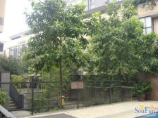 加州新牌坊 人和天地(渝北新牌坊)四房