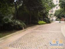 百年世家 3室2厅 南 北