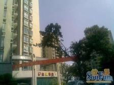 业主急售 百年世家两房楼层适中,视野开阔可看江