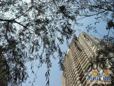 百年世家 3室2厅 东南