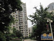 百年世家 户型方正 采光视野开阔 业主诚售