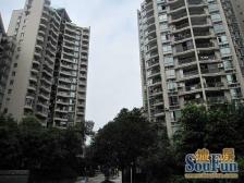 百年世家 4室1厅 东南