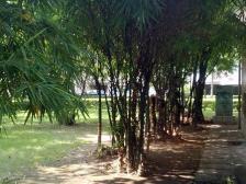 镇中芯大两房,实用面积大,户型方正采光好,配套齐全