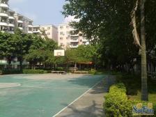 镇中芯实用面积大户型方正配套齐全