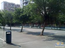 镇中芯 实际面积大 房型方正 配套齐全