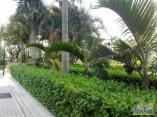 锦绣花园(黄江) 产权清晰 出行方便 居住密度低 精装修