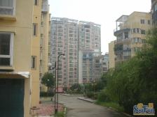 青春家园 精装修三房 单价不过万总价低的三房 现