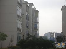 青春家园 南北通透,采光好 近地铁 视野好,诚心出售