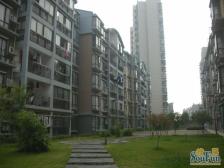 荣昌格林晴天 南北通透,采光好 装修好,环镜优美 视野好,诚心出售