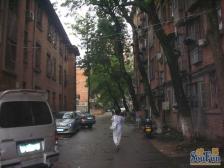 北京西路437号师大宿舍 南北通透,采光好 装修好,环镜优美 近地铁 视野好,诚心出售