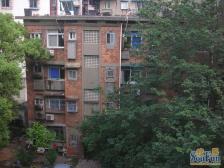 满五年,校园里面,环境优美,闹中取静,空气清新