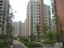 天泽园 南北通透,采光好 装修好,环镜优美 近地铁 视野好,诚心出售