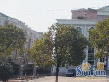 业主急卖, 50平露台,正宗复式