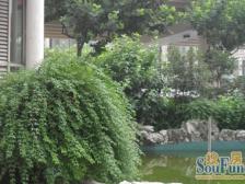 金桥大厦 2室1厅 西北