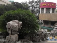 金桥大厦 3室2厅 南 东北