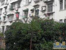 曹杨三村(兰岭园) 3室1厅 南 北