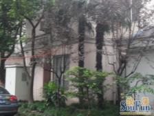 曹杨三村(兰岭园) 3室1厅 南 北