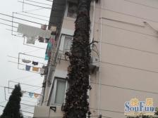 请联系维护人,东边套全明户型,近延安西路地铁站
