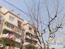 次顶楼,视野开阔,前后无遮挡,采光好