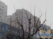 长宁区,近地铁,低总价,朝南全明一房