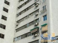 内环内 同济+铁岭 三轨交汇 双楠