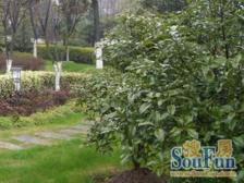 铁岭路50弄小区1室南朝向218.00万元/套出售