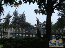 沙滨路 华宇秋水长天二房95万