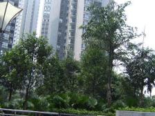 沙滨路 秋水长天 装修两房采光好朝 重大方向 住家安静