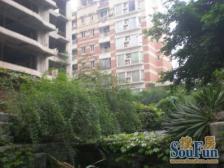 急售房,捡漏房,更多好房,欢迎来电咨询