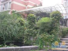 加州新牌坊 加新时代印象二房66万