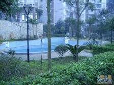 小区比较安静楼层好生活配套成熟适合老人和小孩居住