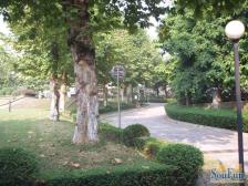 新牌坊核心位置,别墅小区,锦绣山庄