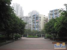 人民广场 帝琴花园四房