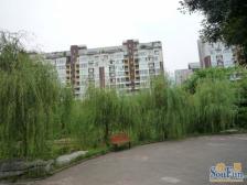 城北新区 北泉花园二房66万