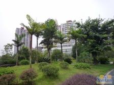 北泉花园精装修朝中庭住家安静看房方便