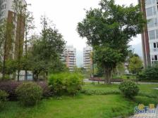 城北新区 北泉花园二房75万