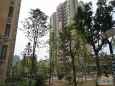 万达广场旁三房,精装修,保持好,户型方正,位置好