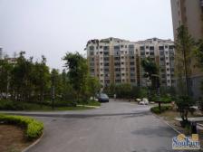 嘉茵苑 2室1厅 南